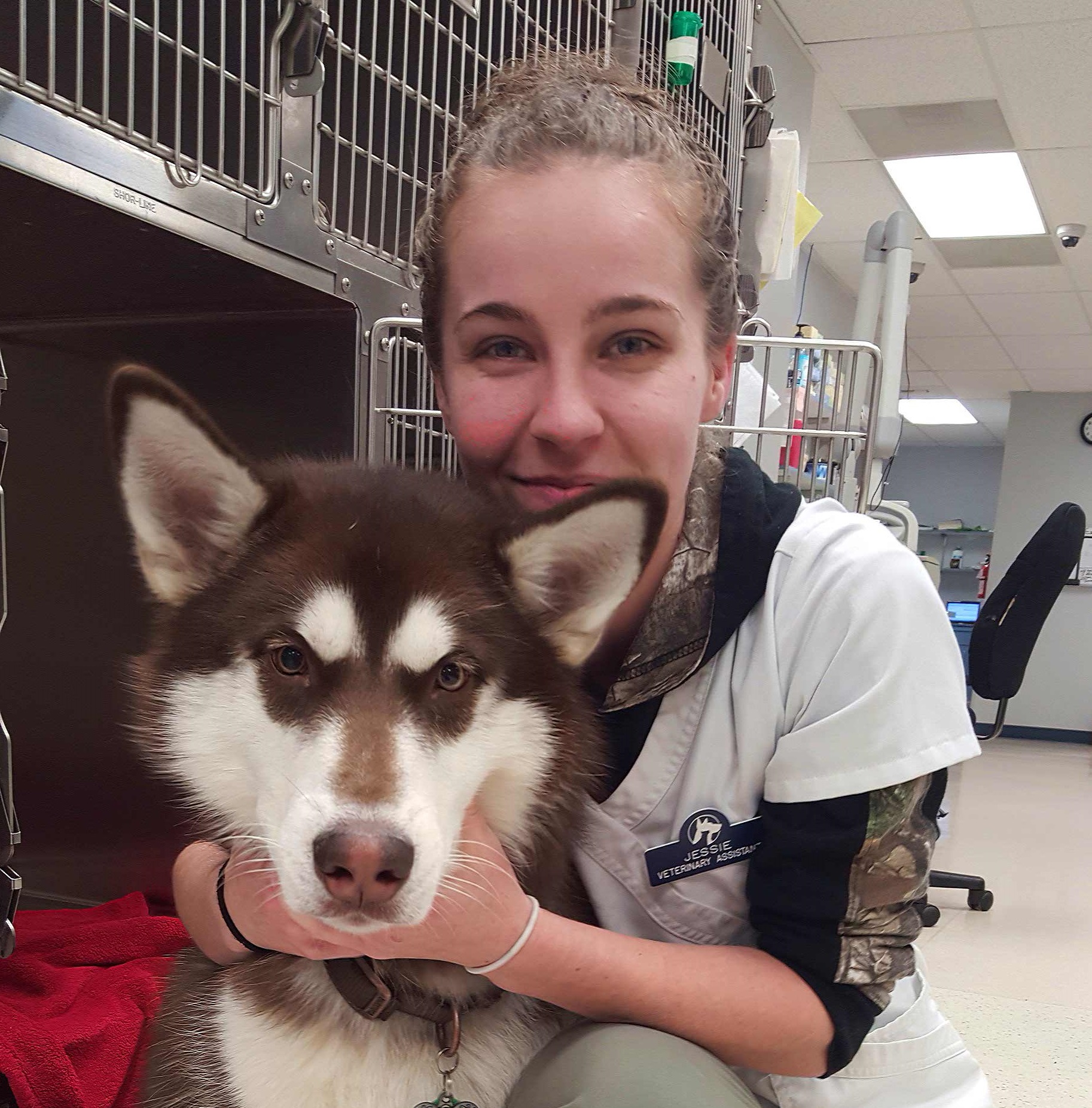 Vets For Less Low cost veterinary services in the Seattle & area